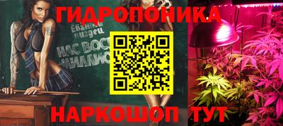крисы Кинель