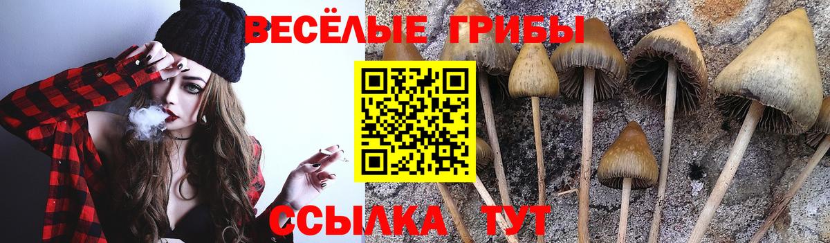 Коркино  Галлюциногенные грибы мухоморы  Вход с VPN 